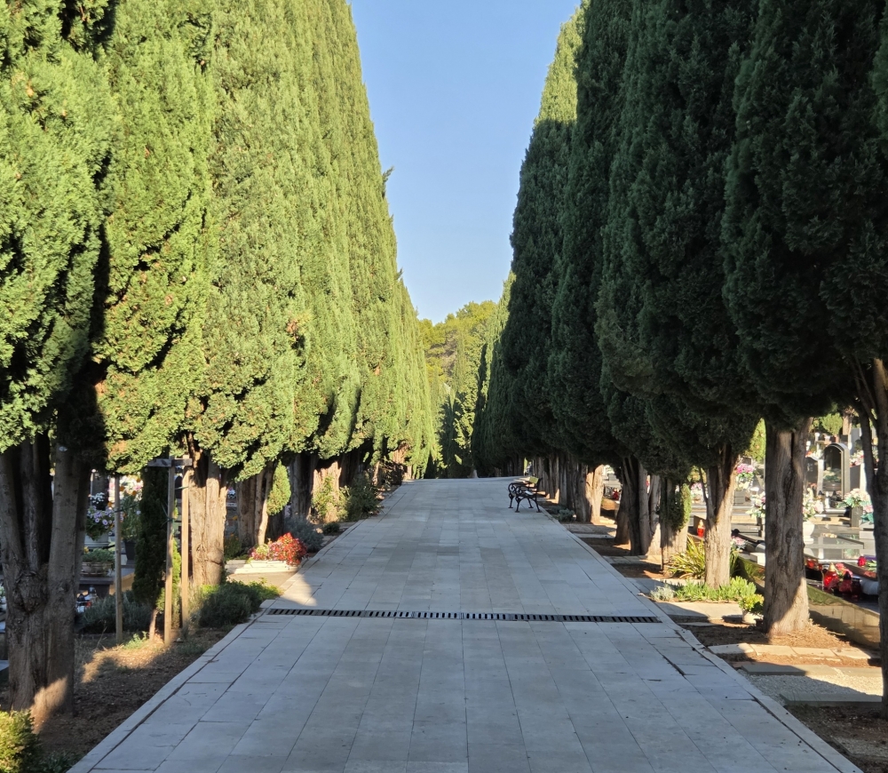 Priopćenje iz Monte gira povodom blagdana Svih svetih